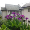 Отель Villa Ausblick, фото 7