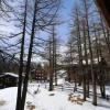 Отель Chalet La Sapinière, фото 10