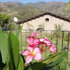 Отель Taormina Villa Ibiscus Alcantara, фото 5