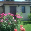 Отель Agriturismo Podere Micitto, фото 1