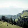 Отель Herbst Alm, фото 3