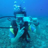 Отель Saipan Guest House, фото 6
