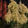 Отель Agriturismo Tholos, фото 3