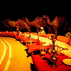 Отель The Desert Resort and Camp, Jodhpur, фото 7
