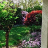 Отель Candy and Samuel house, фото 7