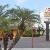 Отель Rose Motel - Winter Haven, фото 4