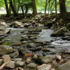 Отель Elk Run On Cosby Creek - 2 Br Cabin, фото 18