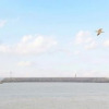Отель Marina Beach Pension, фото 10