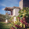 Отель Voyaca Hotel y Alfareria, фото 5