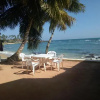 Отель Coconut Palm Guesthouse, фото 6