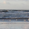 Отель Appartement à Sainte-Cécile Plage, фото 7