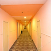 Отель Grace Inn Luoyang Branch, фото 7