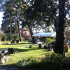 Отель Affittacamere Villa Ghirardelli, фото 1