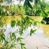 Отель Peaceful River Homestay, фото 8