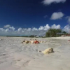 Отель Beach House Casuarina, фото 4
