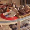 Meal