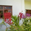 Отель Orchid Sunset Guest House, фото 1