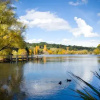 Отель Daylesford Lake Villa 1, фото 7