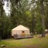 Отель Yosemite Lakes Hillside Yurt 1, фото 9