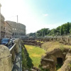 Отель Colosseum Vacation Rentals, фото 10