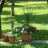 Отель Villa Slavica, фото 5
