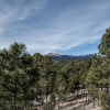 Отель Ruidoso Four-bedroom, фото 20