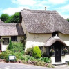 Отель Thatched Tavern, фото 7