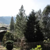 Отель Alpine Boutique Apartments, Fagus, фото 10