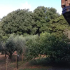 Отель Agriturismo 