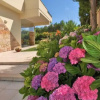 Отель Villa Neptunia, фото 9