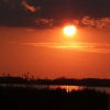 Отель Tisza Lodge, фото 8