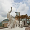 Отель Mount Emei Qilingping Hot Spring Hotel, фото 3