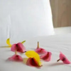 Отель Slaney Suites, фото 4