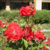 Отель La Escampada, фото 9