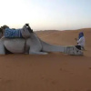 Отель Merzouga Aicha Camp, фото 4