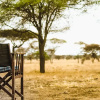 Отель Corfield Camp Tarangire, фото 6