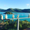 Отель The Point Whitsunday Retreat, фото 14
