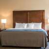 Отель Comfort Inn Apalachin, фото 7