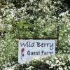Отель Wild Berry Guest Farm, фото 7