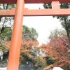 Отель Kotoha Kiyomizu, фото 7