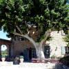 Отель Mas Pichony - Maison d'Hôtes - B&B, фото 1