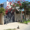 Отель B&B El Jardin, фото 1