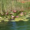 Отель Il Granaio, фото 4