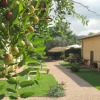 Отель Podere Turicchio, фото 1