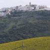 Отель Vivienda Turística de Alojamiento Rural Cilla Vieja, фото 2