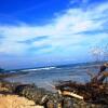 Отель Barrbra BnB Over The Sea, фото 2