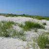 Отель Estero Beach & Tennis 507C, фото 9