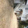 Отель Salamandhra, фото 3