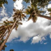 Отель Villa Soraya, фото 7