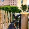 Отель B&B Villa Luogoceleste, фото 1